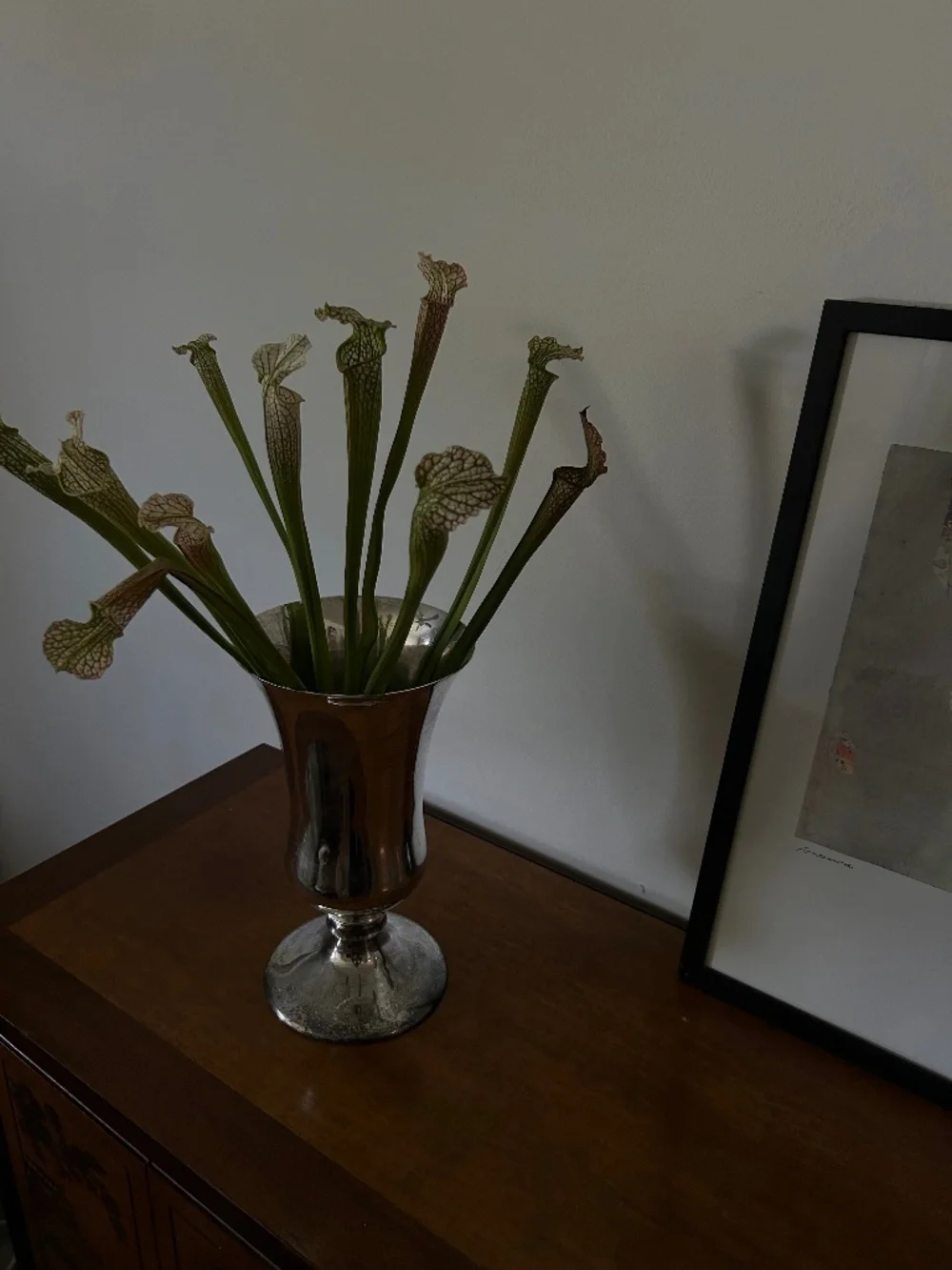Traditional classic European vase